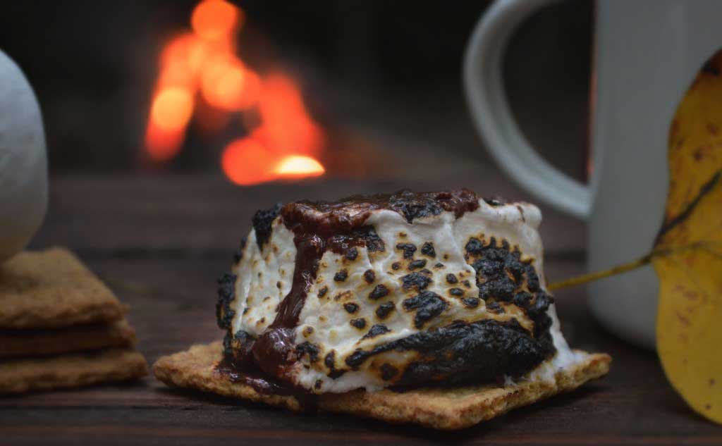 Bonfire and Smores Night is another great idea to start for a household tradition.
